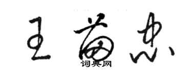 駱恆光王苗忠草書個性簽名怎么寫