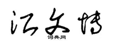 朱錫榮江文博草書個性簽名怎么寫