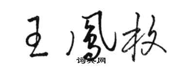 駱恆光王鳳枚草書個性簽名怎么寫