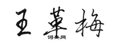 駱恆光王革梅行書個性簽名怎么寫