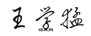 駱恆光王學猛行書個性簽名怎么寫