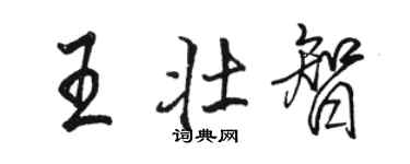 駱恆光王壯智行書個性簽名怎么寫