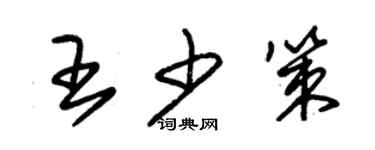 朱錫榮王少策草書個性簽名怎么寫