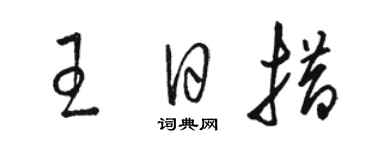 駱恆光王日措草書個性簽名怎么寫