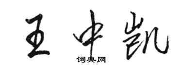 駱恆光王中凱行書個性簽名怎么寫