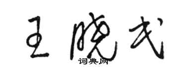 駱恆光王曉民草書個性簽名怎么寫