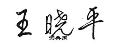 駱恆光王曉平行書個性簽名怎么寫