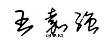 朱錫榮王嘉強草書個性簽名怎么寫