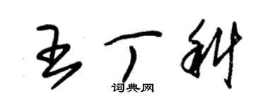 朱錫榮王丁科草書個性簽名怎么寫
