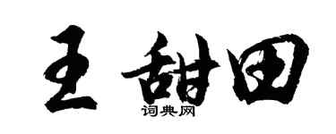 胡問遂王甜田行書個性簽名怎么寫