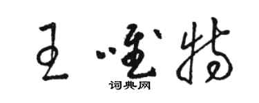 駱恆光王唯特草書個性簽名怎么寫