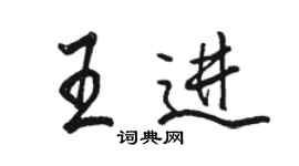 駱恆光王進行書個性簽名怎么寫