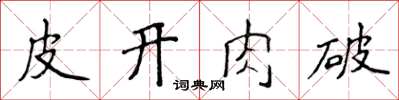 侯登峰皮開肉破楷書怎么寫