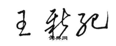 駱恆光王新紀草書個性簽名怎么寫