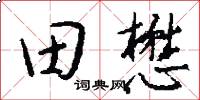 田懋怎么寫好看