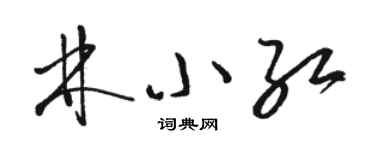 駱恆光林小紅草書個性簽名怎么寫