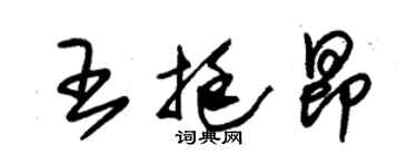 朱錫榮王挺昂草書個性簽名怎么寫