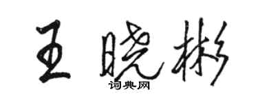 駱恆光王曉彬行書個性簽名怎么寫