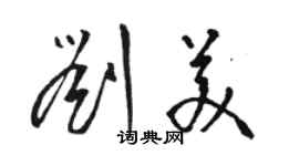 駱恆光劉美草書個性簽名怎么寫