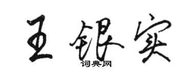 駱恆光王銀實行書個性簽名怎么寫