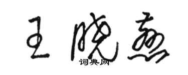 駱恆光王曉慈草書個性簽名怎么寫