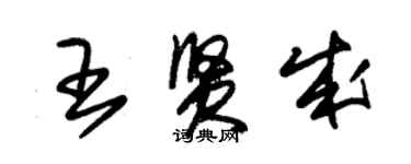 朱錫榮王賢成草書個性簽名怎么寫