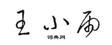 駱恆光王小雨草書個性簽名怎么寫