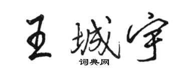 駱恆光王城宇行書個性簽名怎么寫