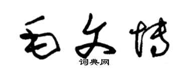 朱錫榮毛文博草書個性簽名怎么寫