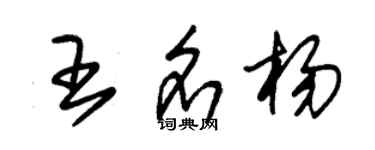 朱錫榮王名楊草書個性簽名怎么寫