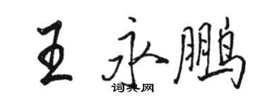 駱恆光王永鵬行書個性簽名怎么寫