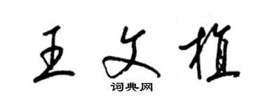 梁錦英王文植草書個性簽名怎么寫