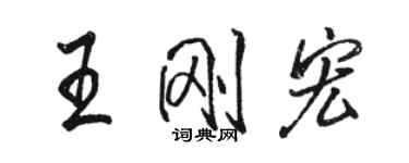 駱恆光王剛宏行書個性簽名怎么寫