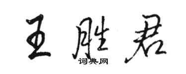 駱恆光王勝君行書個性簽名怎么寫