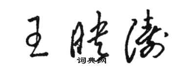 駱恆光王映濤草書個性簽名怎么寫