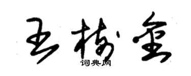 朱錫榮王樹金草書個性簽名怎么寫