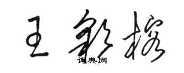 駱恆光王彩榕草書個性簽名怎么寫