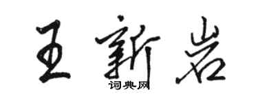 駱恆光王新岩行書個性簽名怎么寫