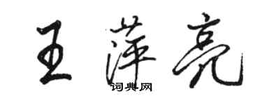 駱恆光王萍亮行書個性簽名怎么寫