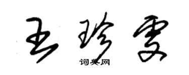 朱錫榮王珍雯草書個性簽名怎么寫