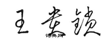 駱恆光王貴鎖草書個性簽名怎么寫