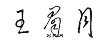 駱恆光王眉月草書個性簽名怎么寫