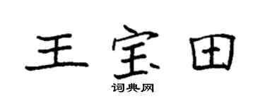 袁強王寶田楷書個性簽名怎么寫