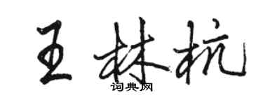 駱恆光王林杭行書個性簽名怎么寫