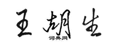 駱恆光王胡生行書個性簽名怎么寫