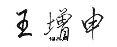 駱恆光王增申行書個性簽名怎么寫