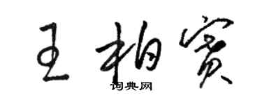 駱恆光王柏賽草書個性簽名怎么寫