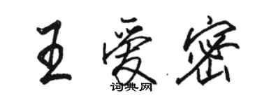 駱恆光王愛密行書個性簽名怎么寫