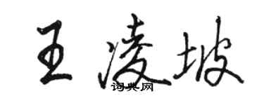 駱恆光王凌坡行書個性簽名怎么寫