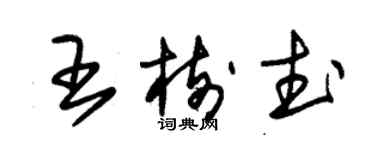 朱錫榮王樹武草書個性簽名怎么寫